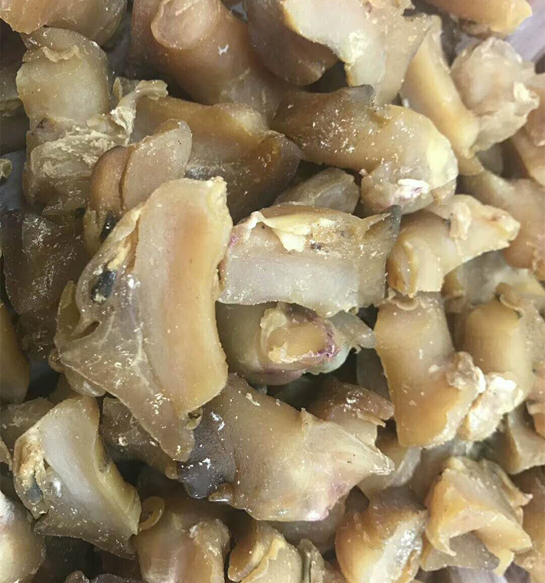 诚言海味干货批发 美国 红螺头 海螺头螺肉干货 酒店常用滋补品