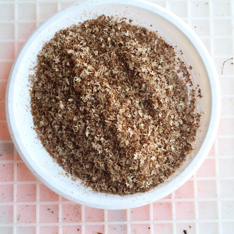 白桦树种子白桦种子 粉桦 桦皮树种子 桦树种子 桦木 桦皮树种子