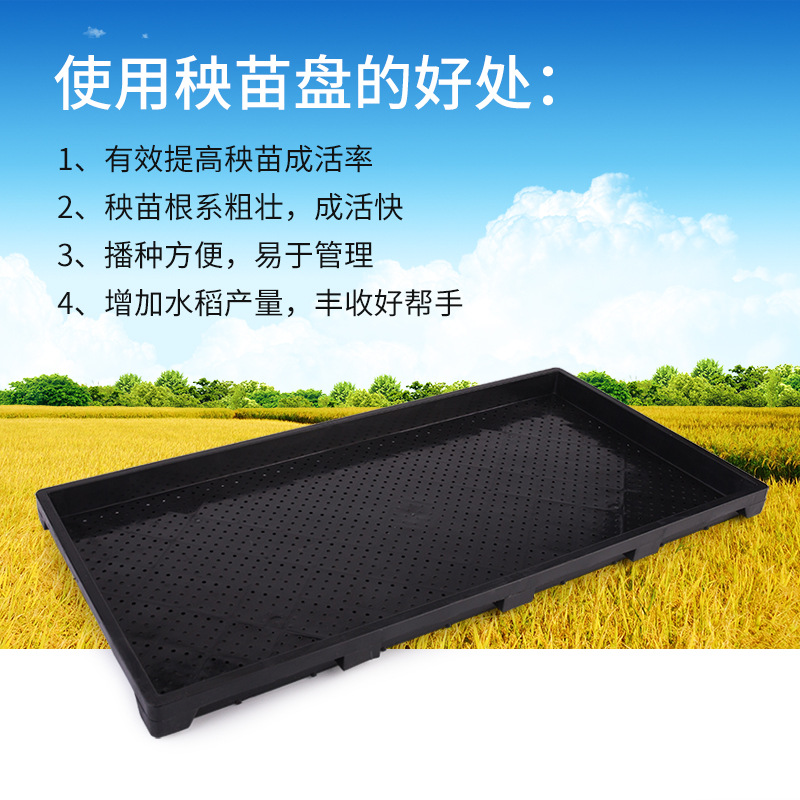 金农特级 9寸机插硬盘秧盘/水稻育秧盘育苗盘/插秧机秧盘
