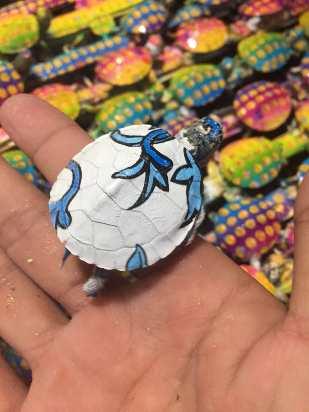 网红小乌龟地摊10元模式 炫彩小乌龟七彩巴西龟一手货源