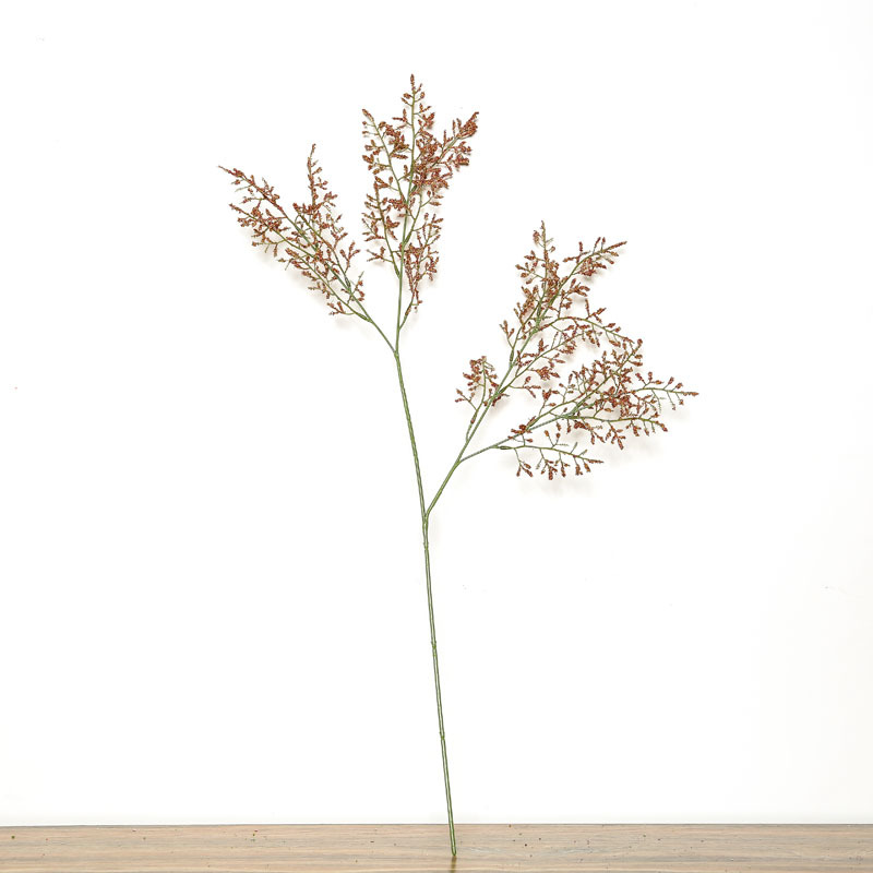 小束情人草云南干花情人草小清新迷你花束diy花材