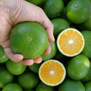 无公害绿色水果