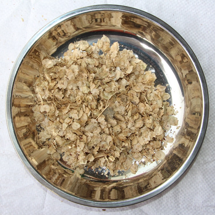 榆树种子 新采白榆种子 优质榆钱树种子精选白榆种子园林绿化乔木