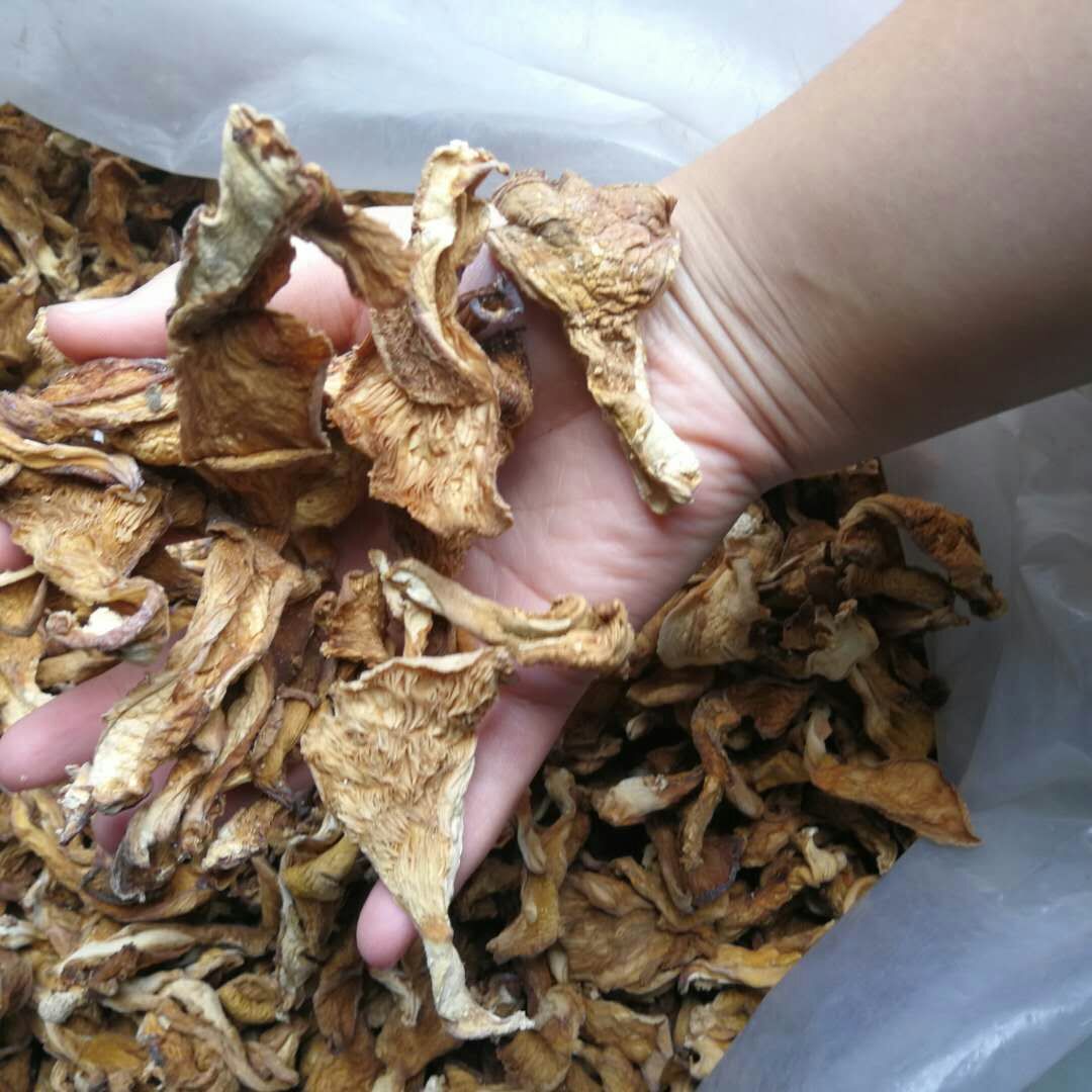 元蘑野生元蘑野生冻蘑长白山元蘑长白山冻蘑