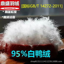 95%白鸭绒 羽绒服标准填充物 中朵 蓬松好 厂家批发 一公