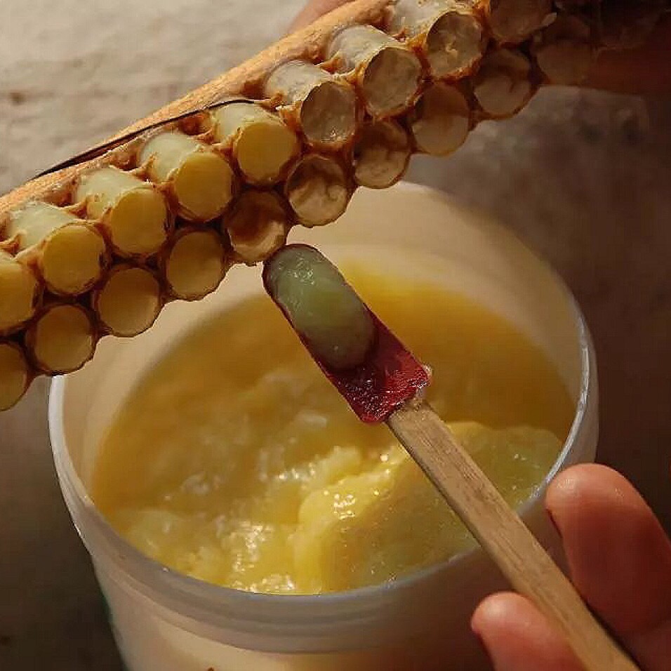 山东蜂王浆