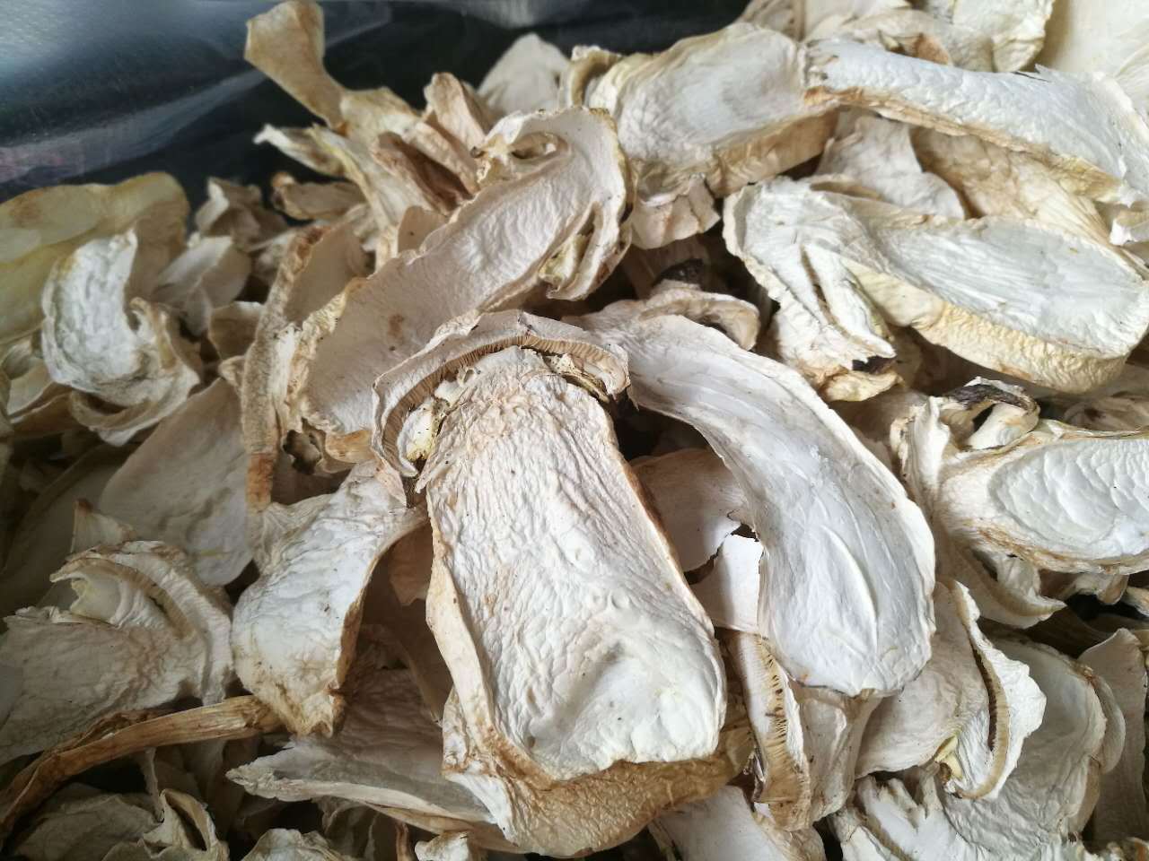 批发大球盖菇干片 云南野外生长菌菇食用菇山珍菌类干货 产地直销