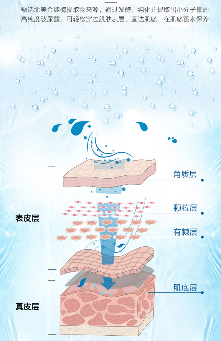 1000ml玻尿酸爽肤水补水保湿女学生柔肤水湿敷化妆水美容院装大瓶