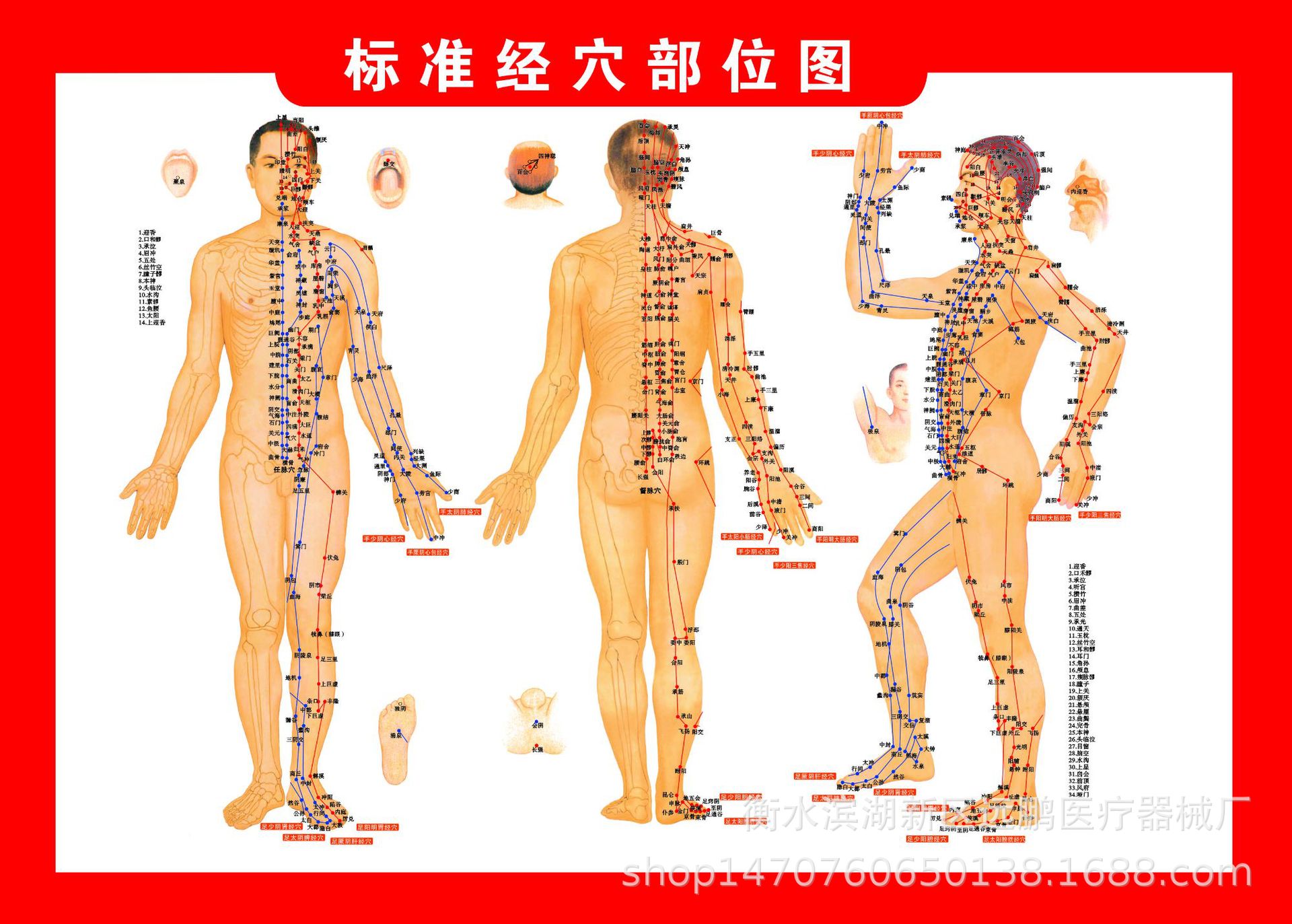 定制人体经络穴位图书艾灸参考图艾灸图艾灸书64开人体穴位图