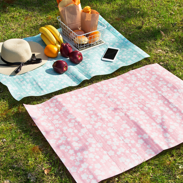 户外草地垫防水野餐垫野外防潮垫沙滩垫儿童野餐布春游便携垫子