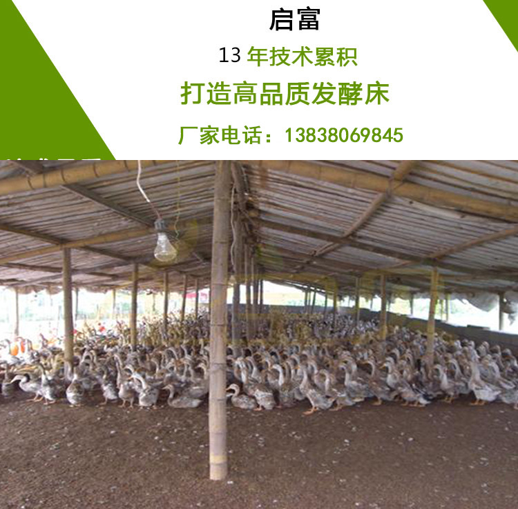 发酵床养鹅该怎么选择垫料发酵剂呢