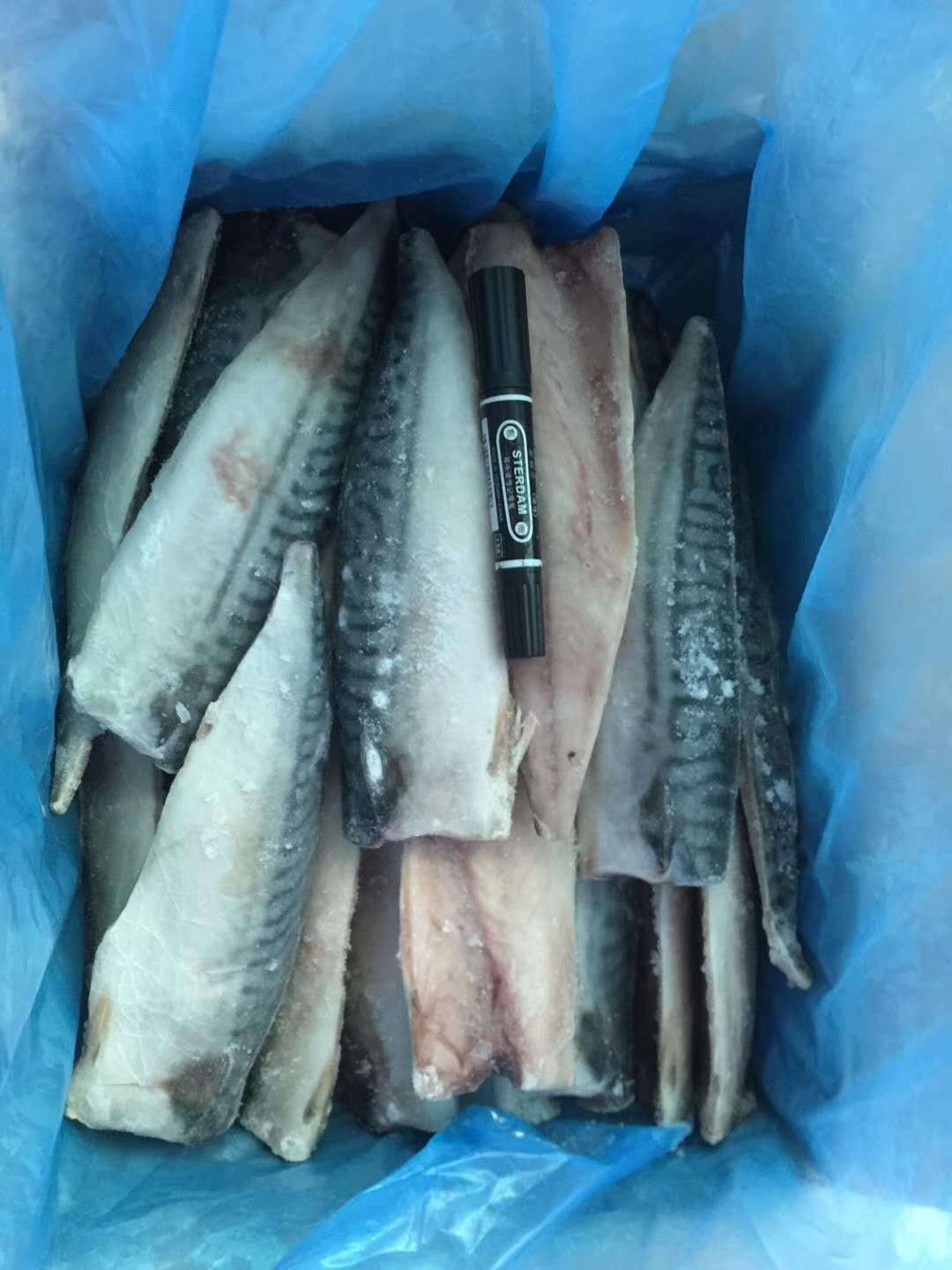 活冻冷冻青花鱼鲐鱼冷冻青鱼 青花鱼片 烧烤海鲜日式料理1件10斤
