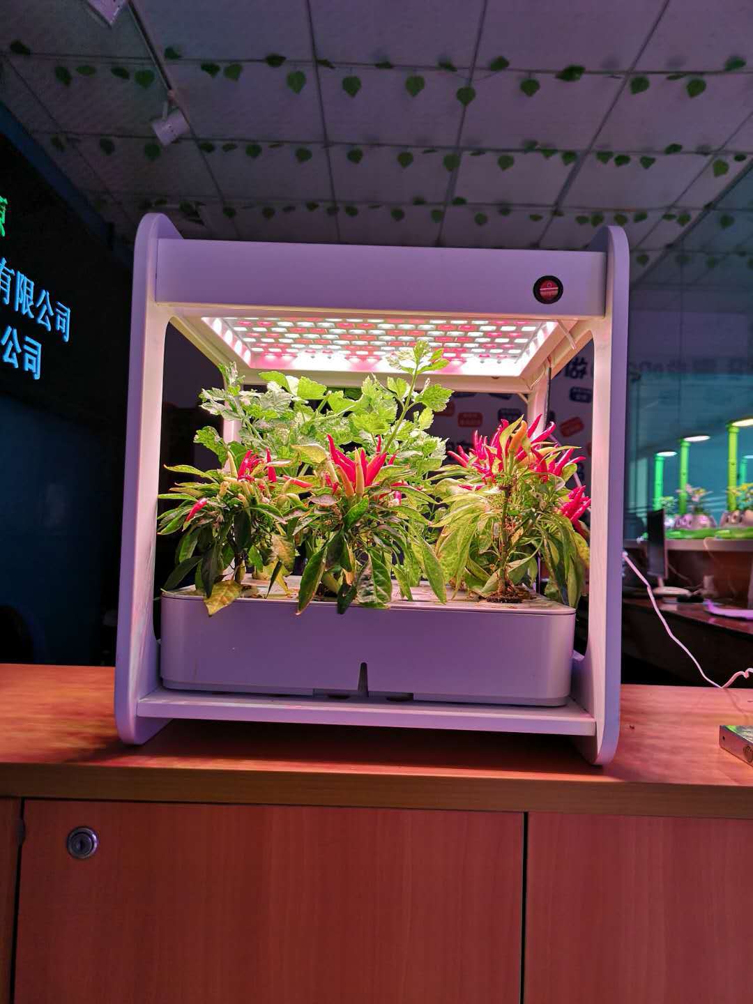 智能水培蔬菜阳台家庭种植箱无土栽培设备有机蔬菜种植槽立体花盆