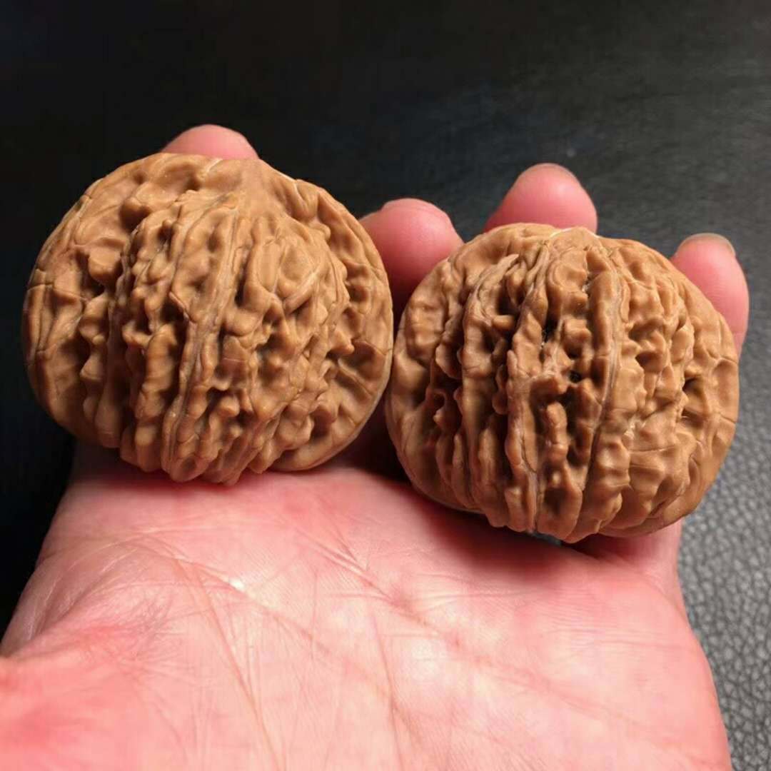 文玩核桃野生蟠龙纹狮子头满天星官帽精品对把玩健身核桃一件代发