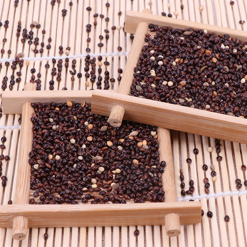 供应五色黍子 酿酒高粱信鸽饲料五谷杂粮高粱黍子 酿醋黍子批发