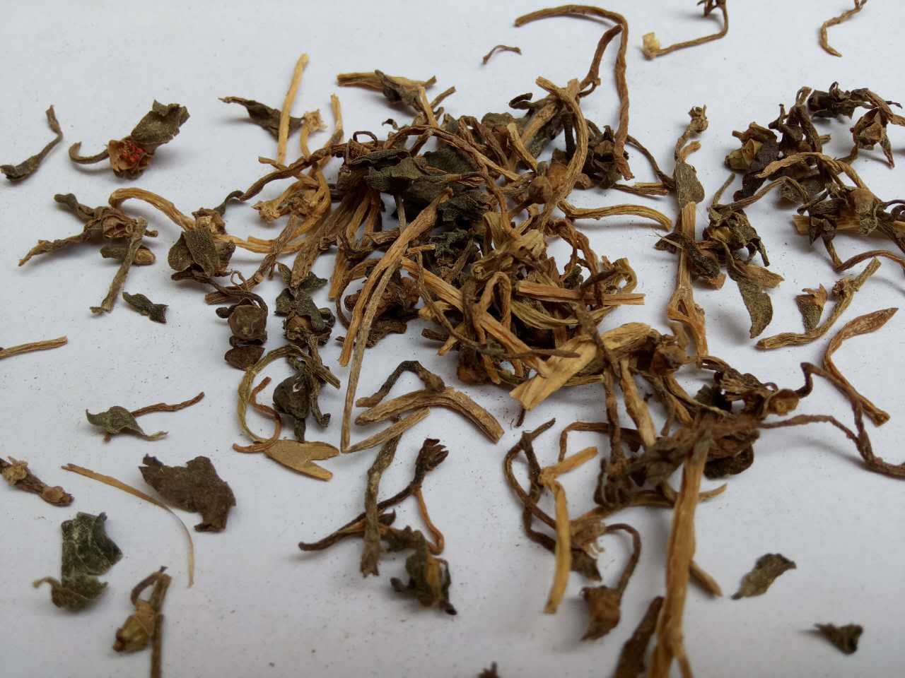 产地货源马齿苋 五方草 瓜子菜 麻绳菜 马齿菜 蚂蚱菜 五行草