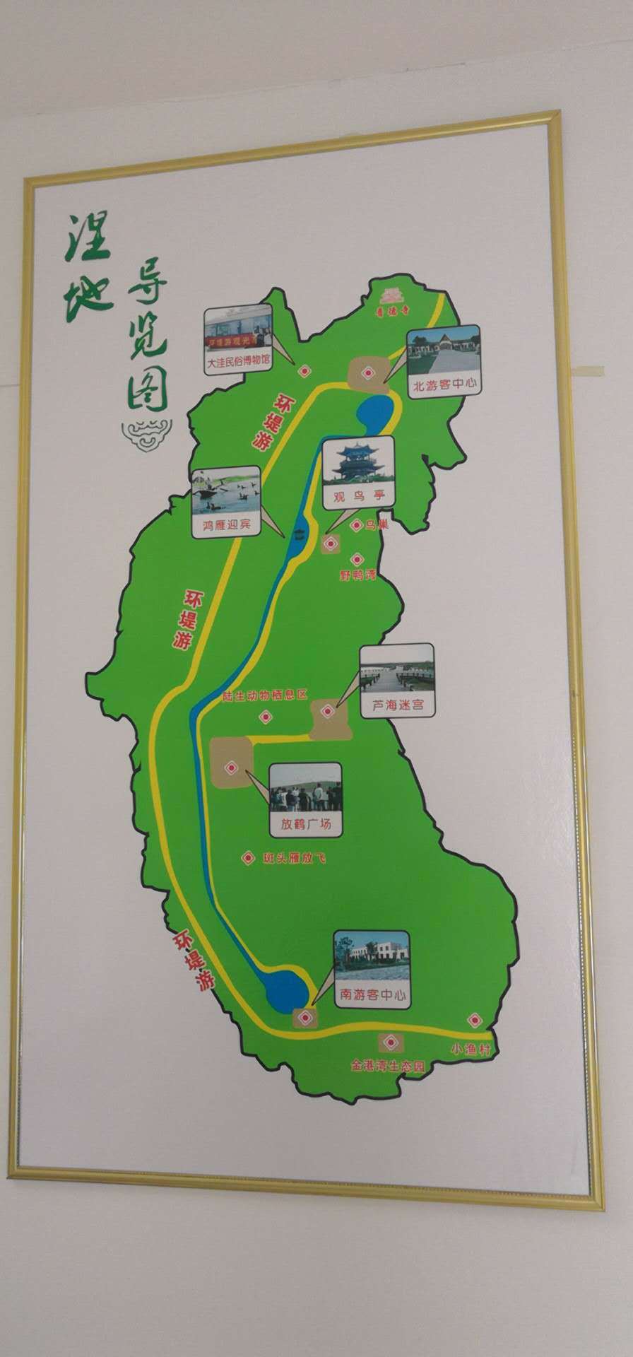 转载中秋前夕带着小爱畅游南大港湿地