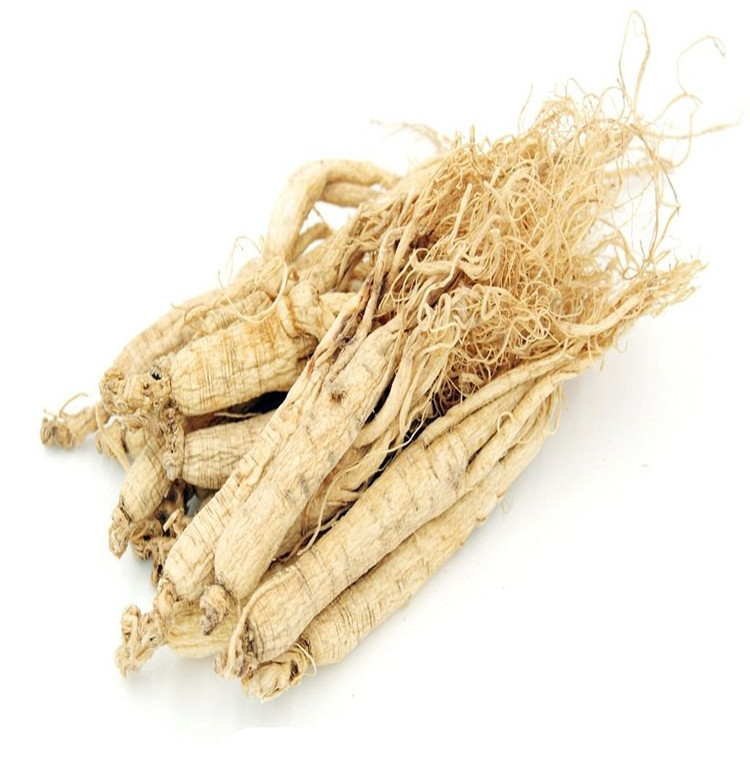 中药材批发大人参 野生东北老参优质6年人参天然滋补一公斤包邮