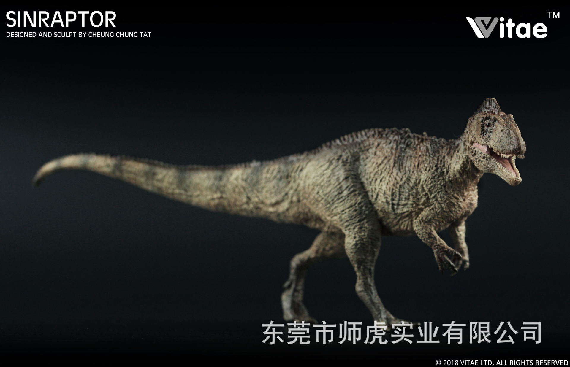 vitae為牠96501董氏中华盗龙朱罗纪恐龙模型儿童玩具一件代发