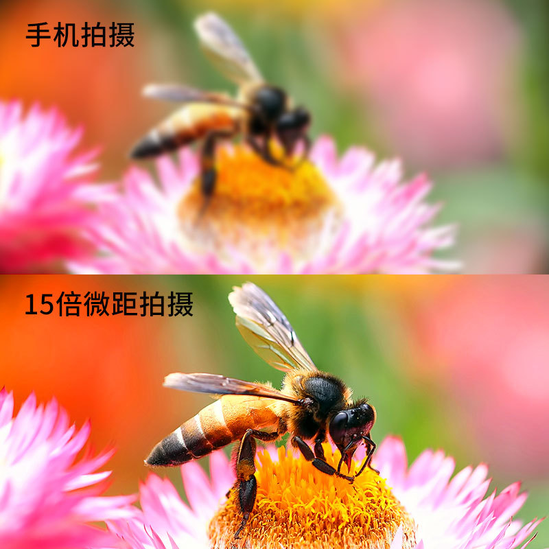 xyxd手机微距镜头15倍高清花草昆虫珠宝眼妆短视频外置摄像头