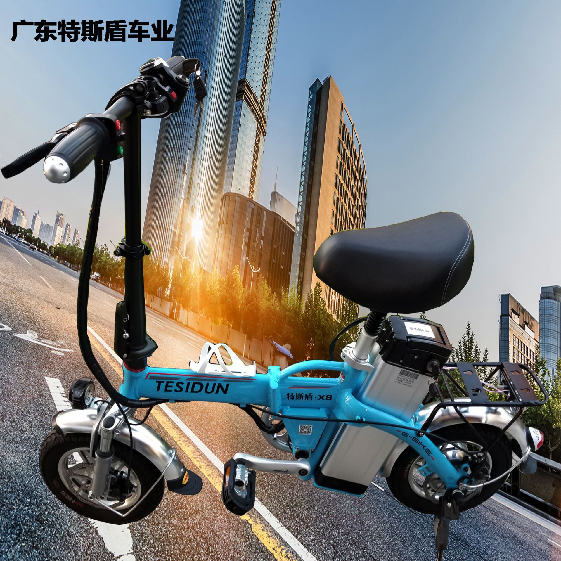 特斯盾电动车14寸代驾电动车48v电动自行车锂电池自行车工厂直销