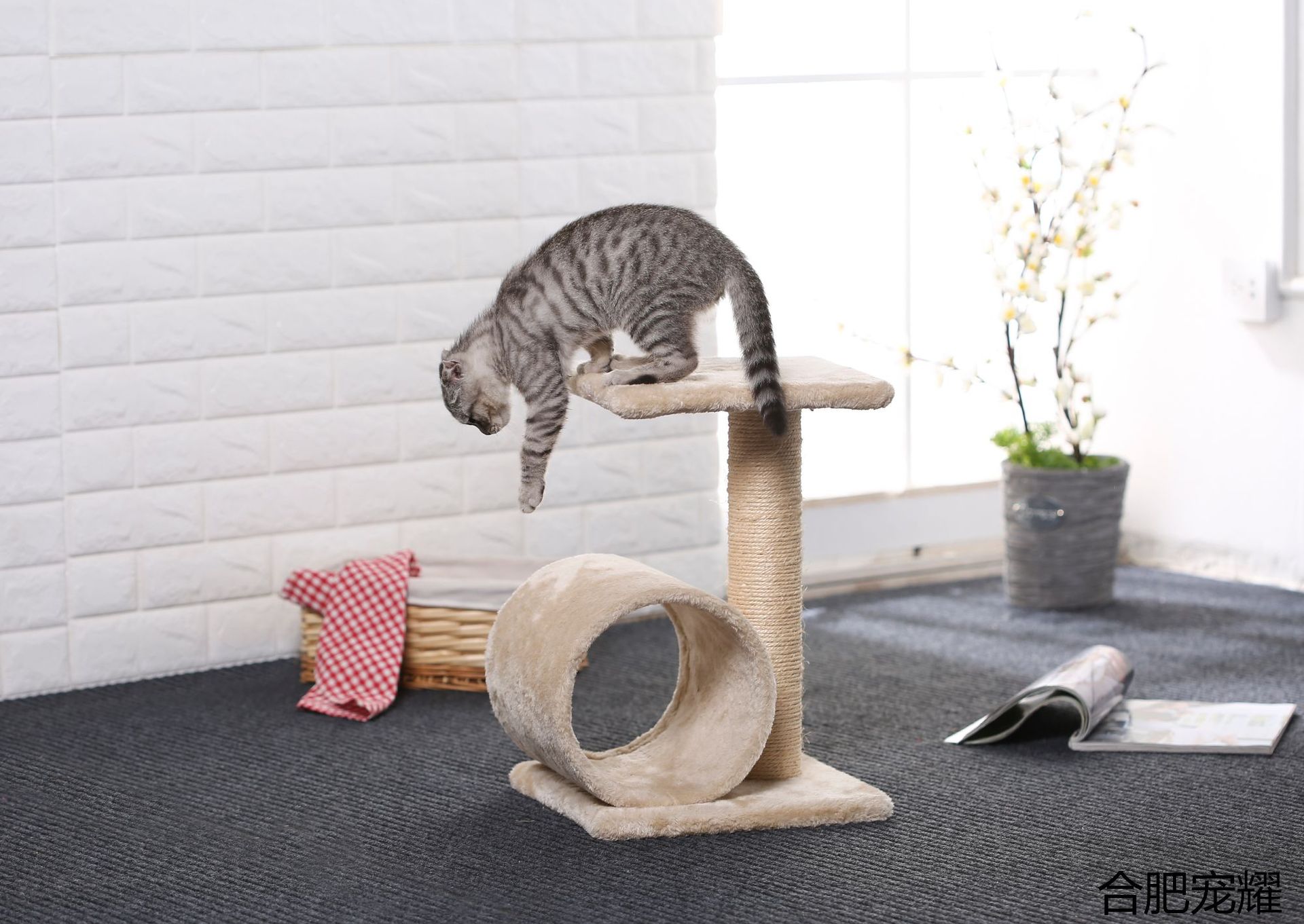 宠物玩具猫咪爬架 猫窝 猫跳台 全麻支柱爬架 猫咪抓板
