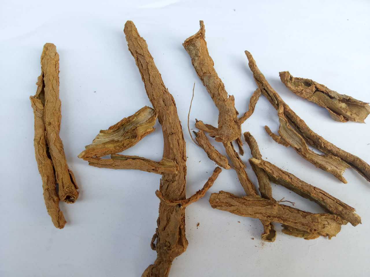 包邮飒枫中药材 地骨皮 优质 无沫子 无杆子 野生地骨皮 厂家直销