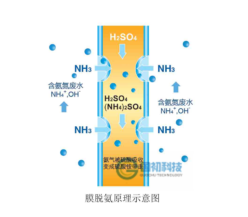 厦门国初专业提供 氨氮脱除膜 (气体分离膜) 实验设备