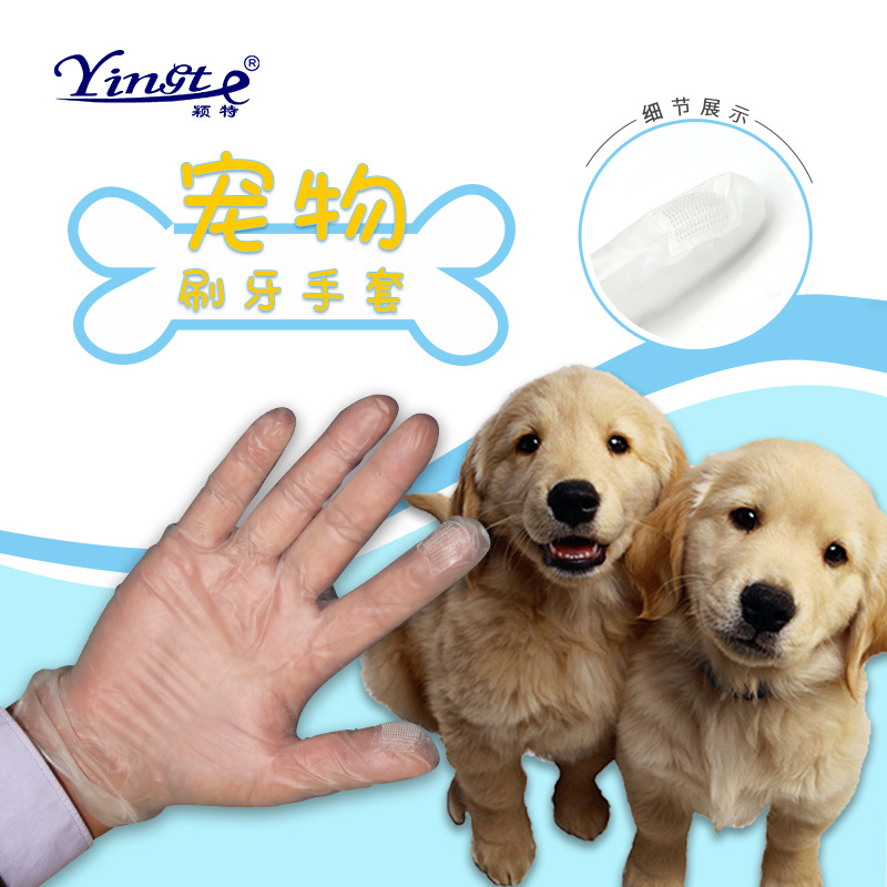 宠物用品狗狗牙刷手指牙刷指套牙刷宠物美容护理手套