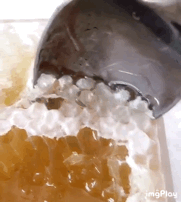 蜂巢蜜500g 天然纯农家自产老蜂巢嚼着吃野生土蜂蜜