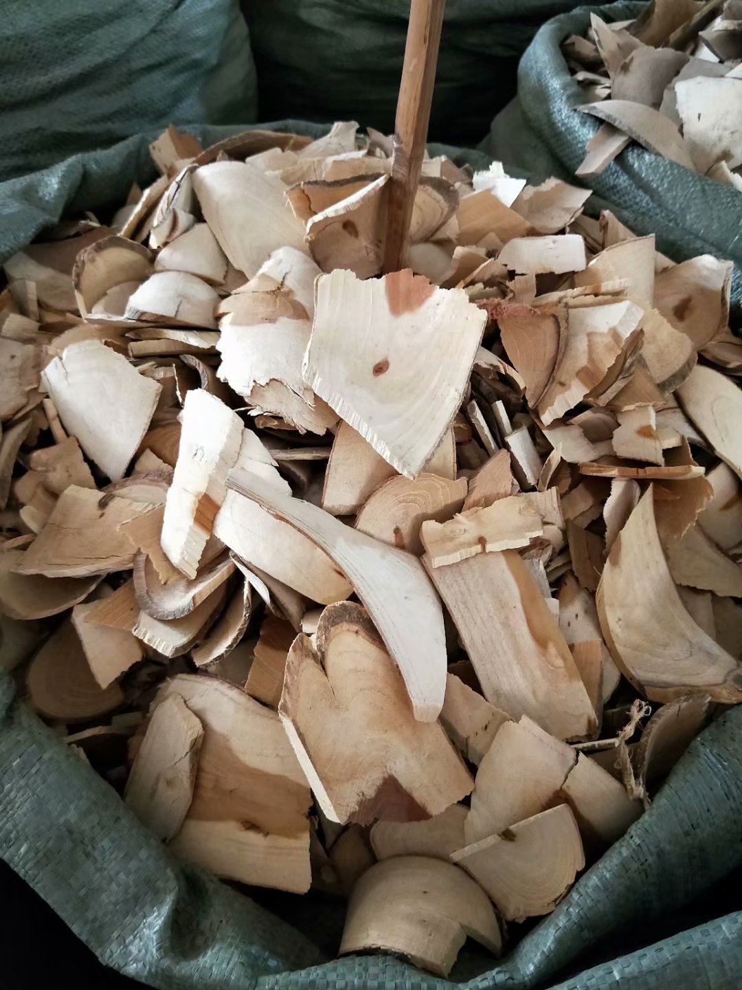 中药材穿破石川破石地棉根每件500克