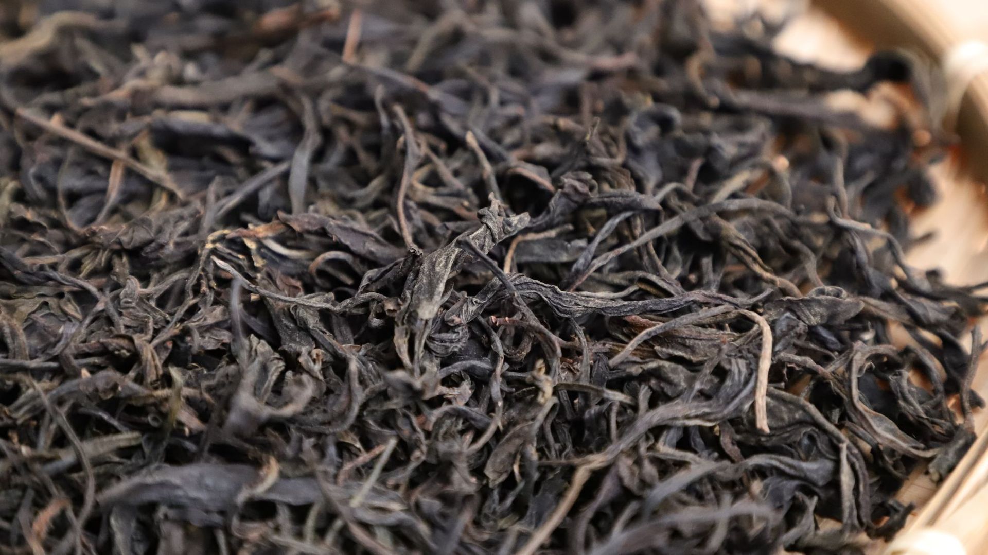 云南普洱茶 野生紫芽茶叶2014年景谷野生古树紫芽毛散茶 大量批发