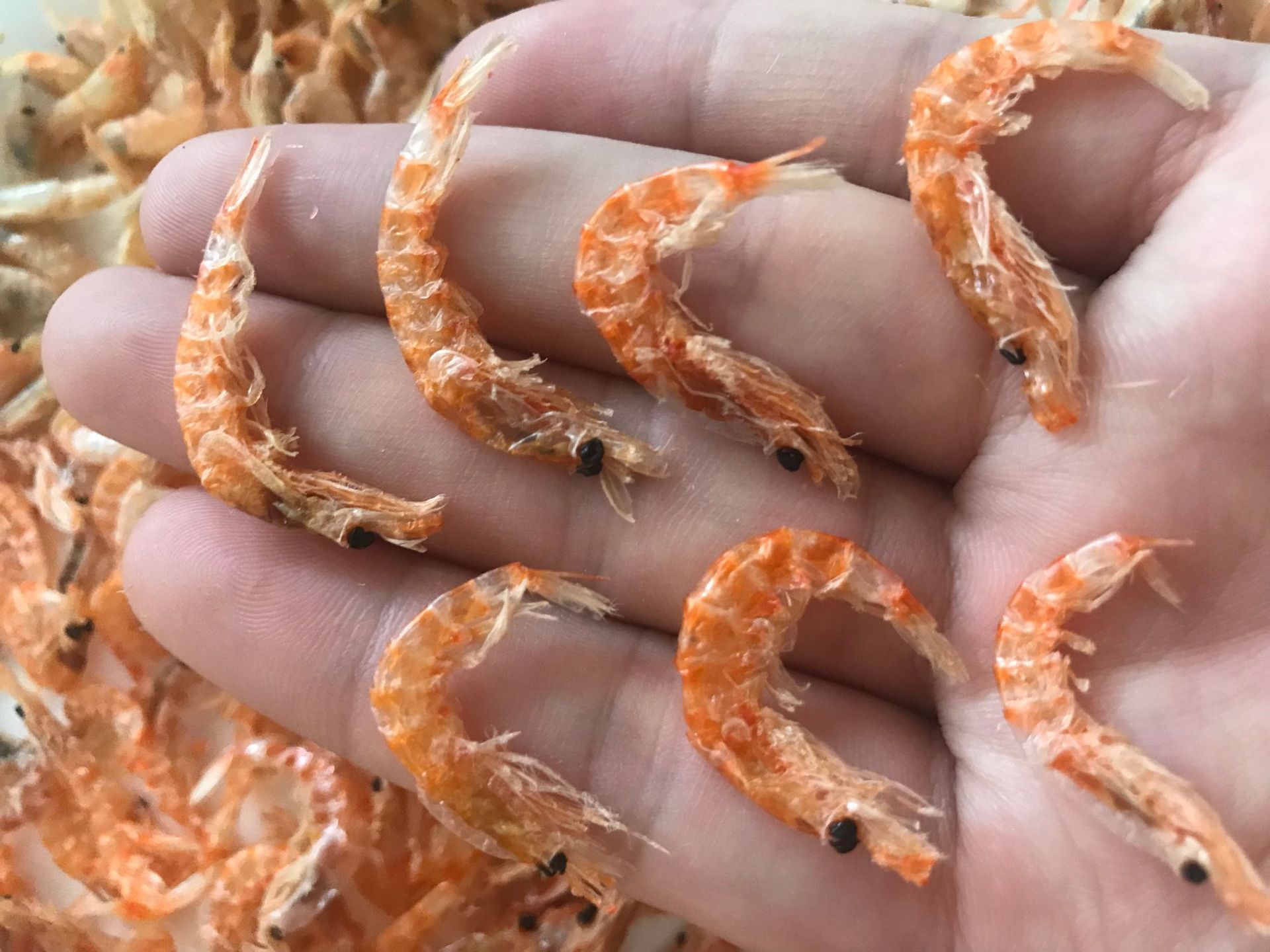 深海虾皮虾干宝宝补钙 南极鳞虾 深海虾皮组合包邮