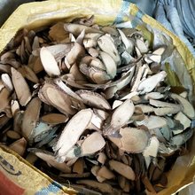 图为和阿姨乱伦在线观看 wwwyy934cop高清图片