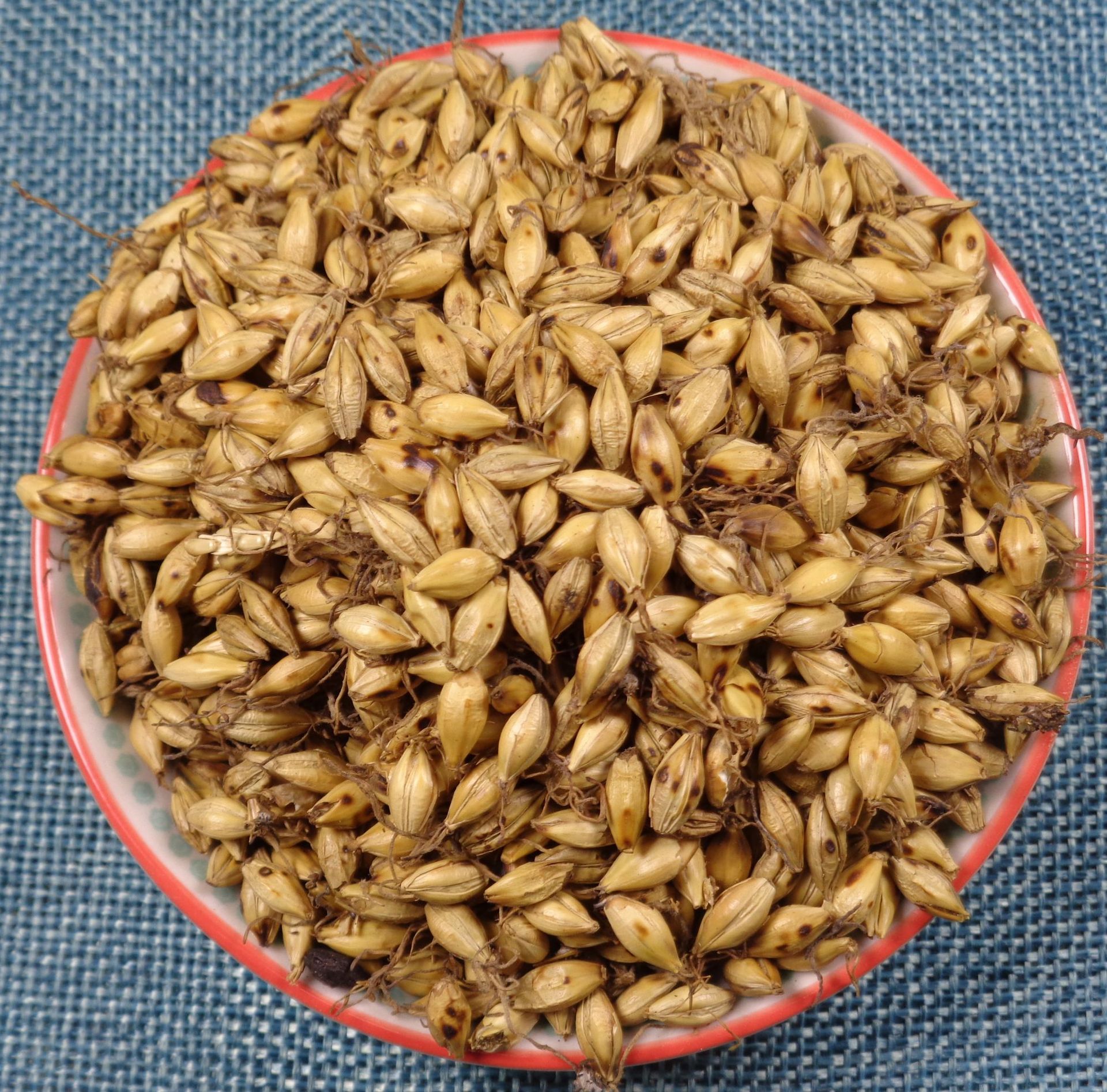 中药材 大麦芽 生麦芽 炒麦芽 大麦毛 全芽足干 支持药检