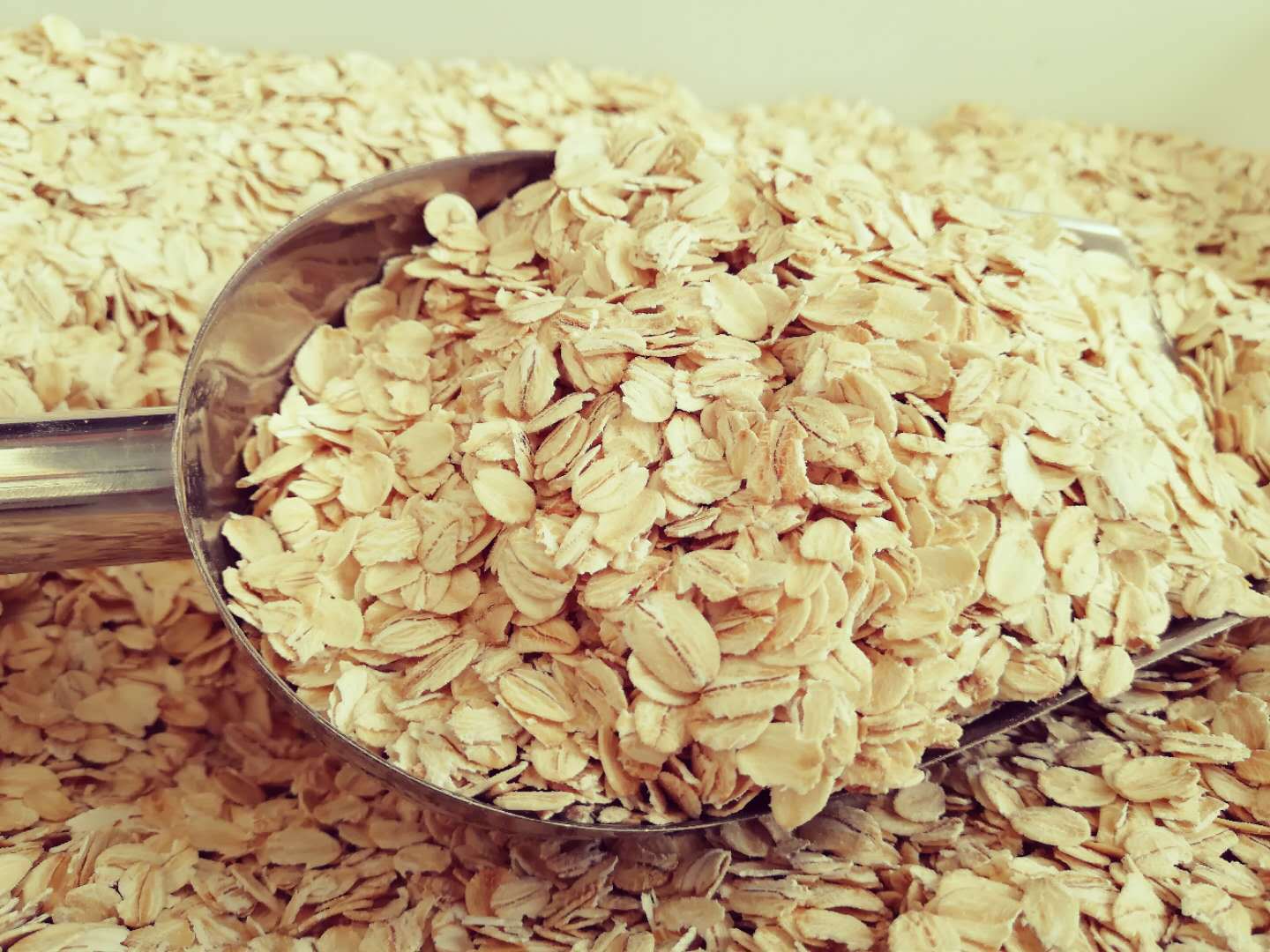 现货批发熟燕麦片 早餐冲泡即食熟燕麦片 50斤/袋量大优惠燕麦片