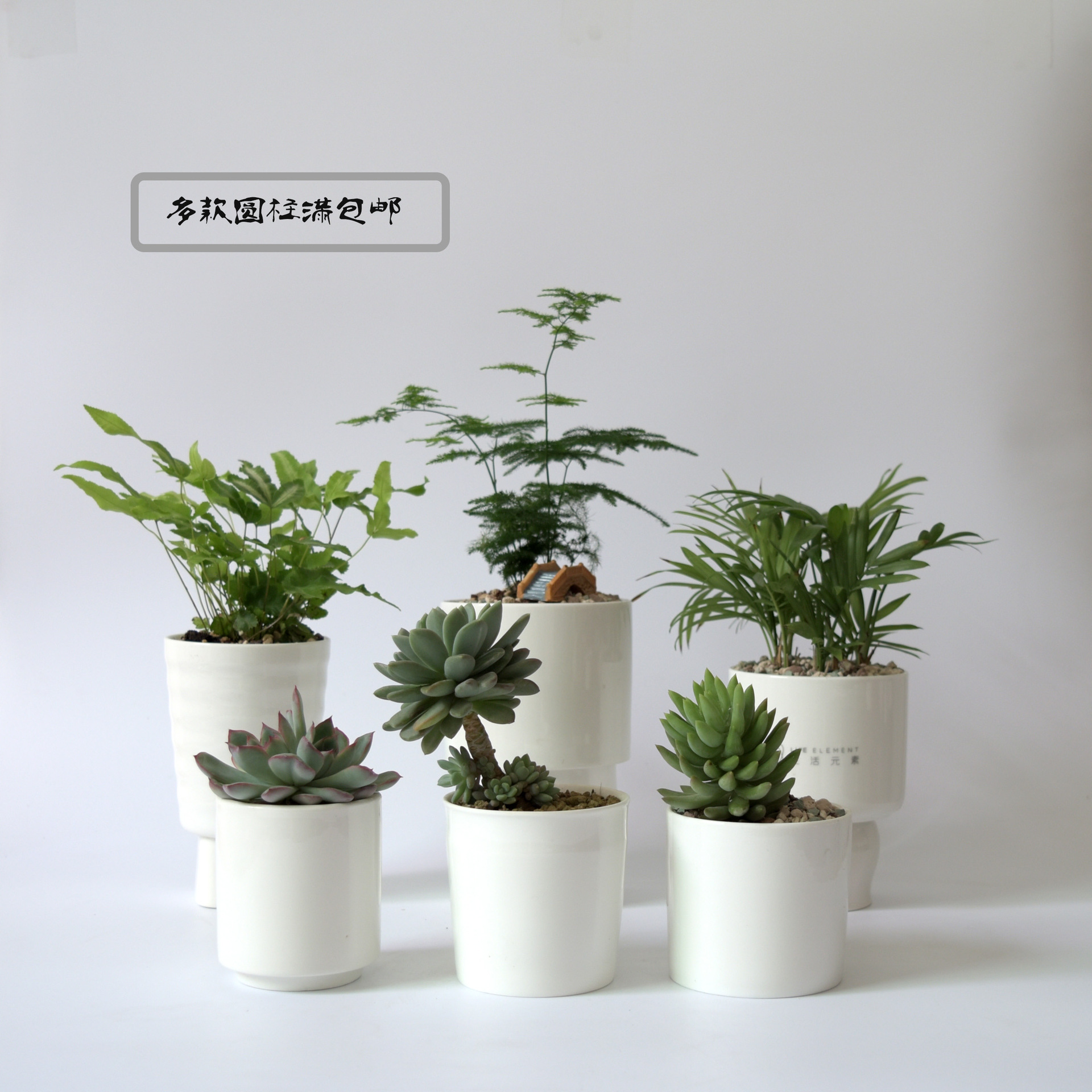 简约白瓷多肉花盆 创意圆形陶瓷多肉植物花盆zakka桌面园艺盆栽