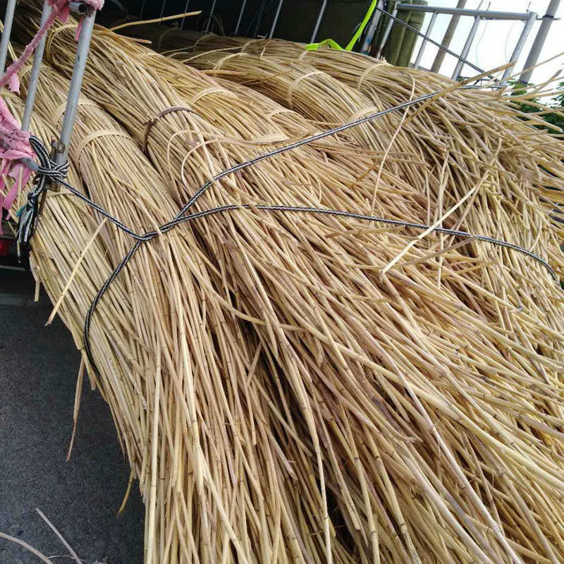 0成交54件厂家供应 藤条海南白藤 条形状藤条原料 工艺品编织材料专业