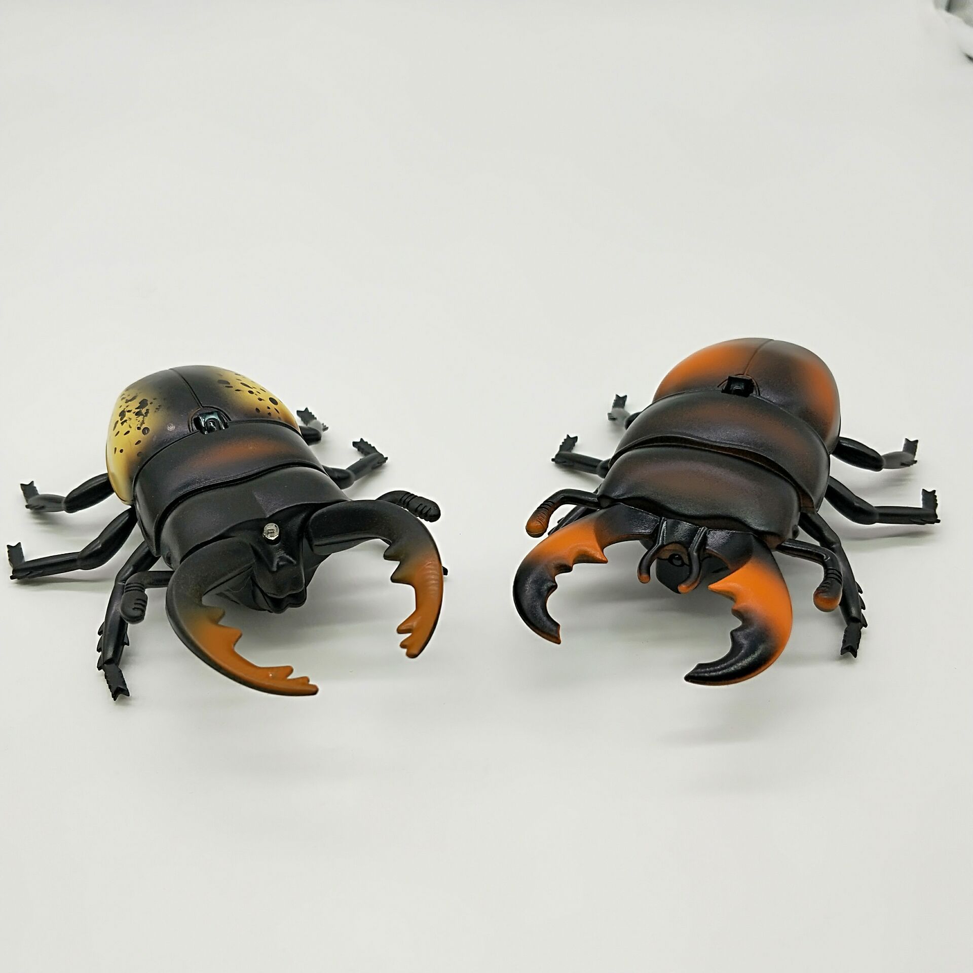 新奇特遥控甲虫锹甲虫 仿真整蛊昆虫红外线遥控电动整蛊玩具