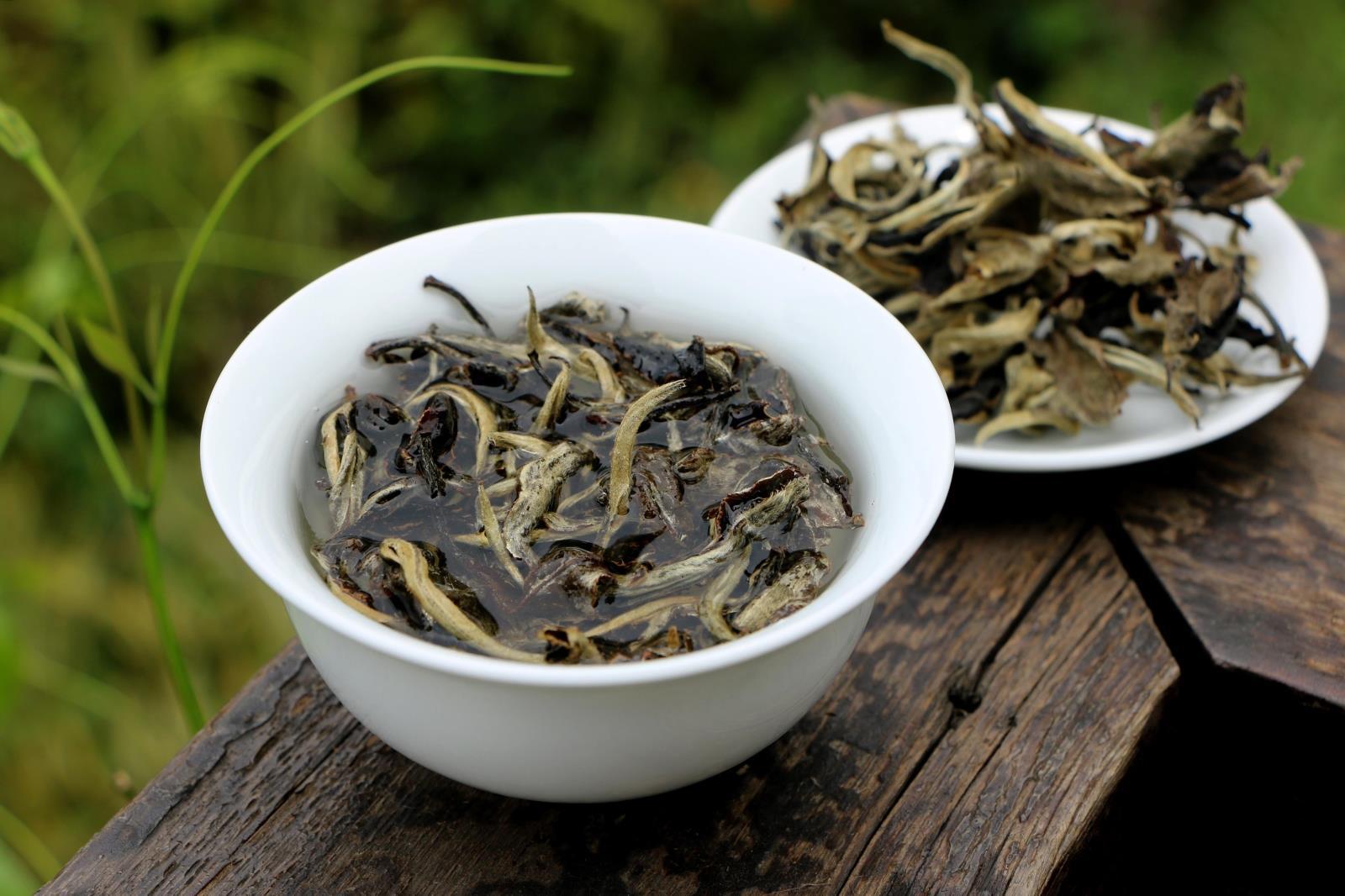 白茶 云南景谷老白茶古树白茶普洱茶生茶散茶 月光白茶叶