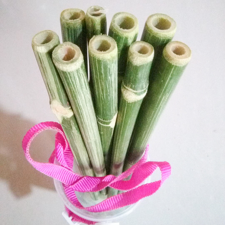 供应批发竹制品吸管天然空心青竹管子各种规格可定制加logo