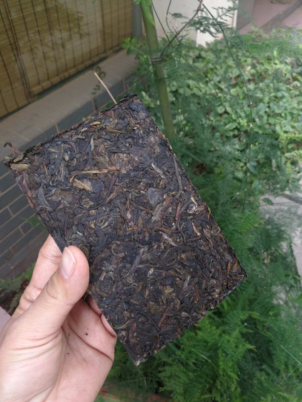 2013年昔归普洱茶砖250克 云南普洱茶生茶茶叶