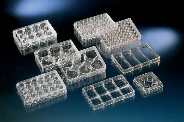 赛默飞nunc经细胞培养处理的多孔皿6孔 12孔 24孔 48孔