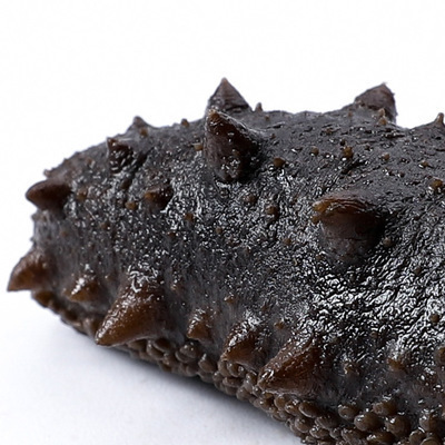 烟台芝罘岛婆婆石深海野生半干海参600克顺丰包邮