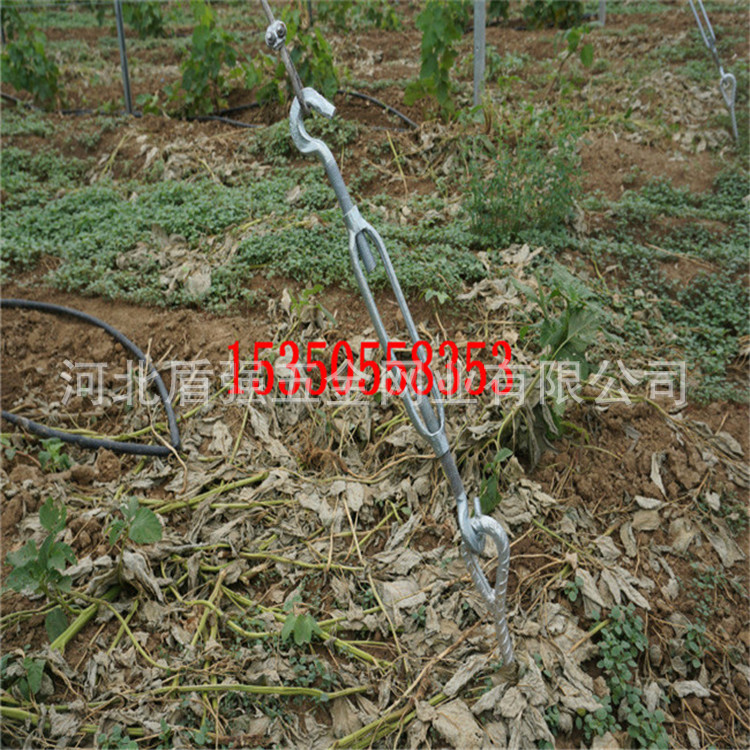 农用果园大棚配件 固定边柱 斜拉线用 金属地锚 螺旋地锚桩 地钻