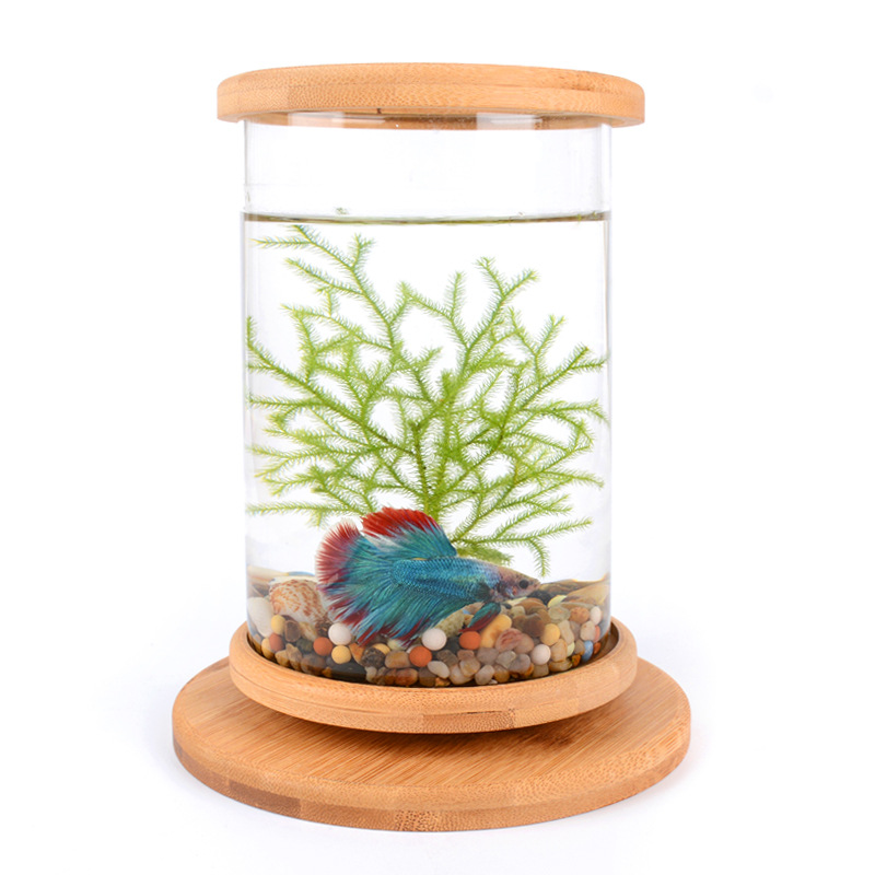 Desktop Glass Flower Container Creative Office Tempered Glass Microview Cylinder Rotating Bedroom Fish Tank Betta Tank Mini Small