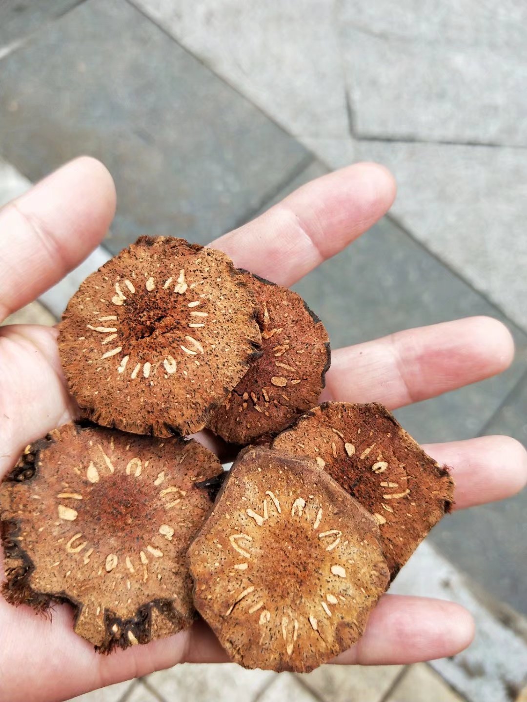 批发中药材贯众贯仲每件500克