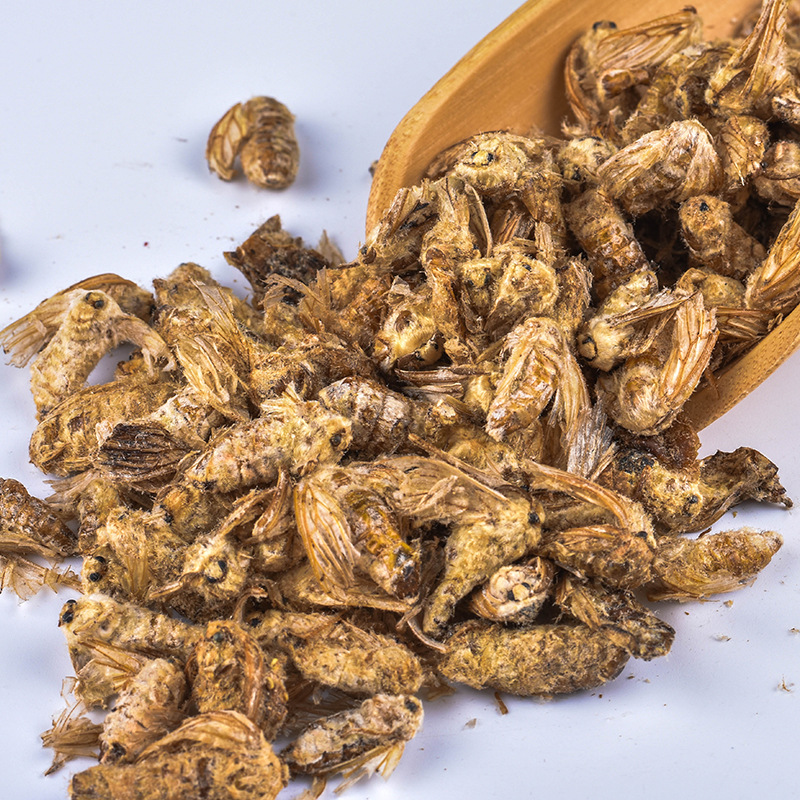 批发现货 雄蚕蛾 诚信经营 原蚕蛾 晚蚕蛾 支持药检 一件代发货