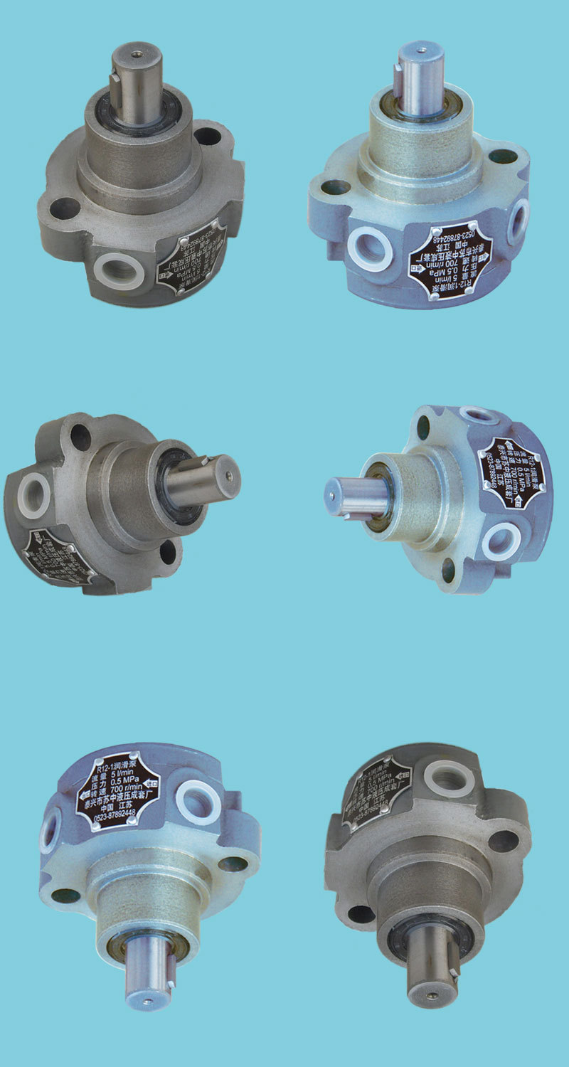 ca6140车床润滑油泵r12-1(图)