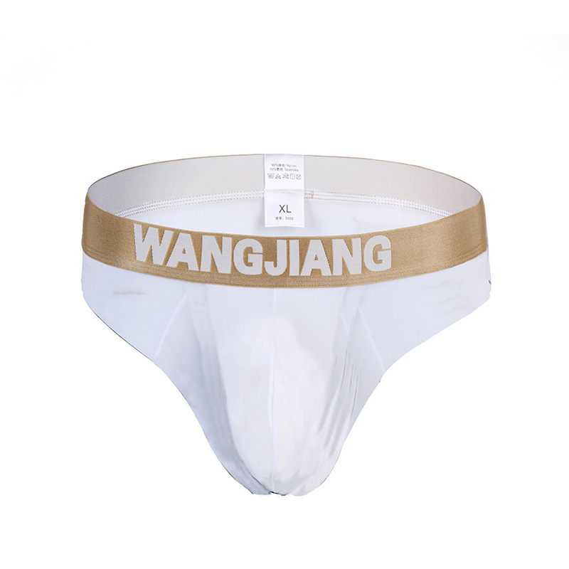 Factory Wholesale European and American Zhongshan Men's Underwear Low Waist Ice Silk Solid Color Sexy Sexy Men's Thong T-Shaped Panties